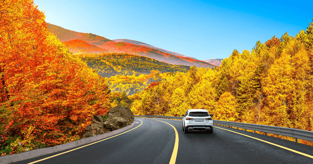 The Best Cars for Fall Road Trips